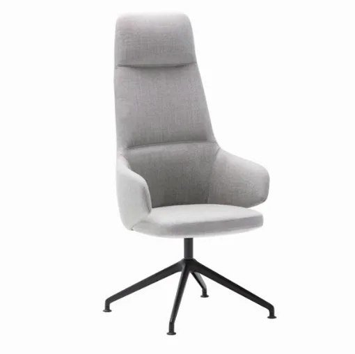 binar executive incl