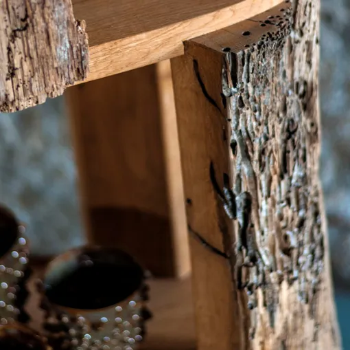 THE BROCCOLONE BOOKCASE