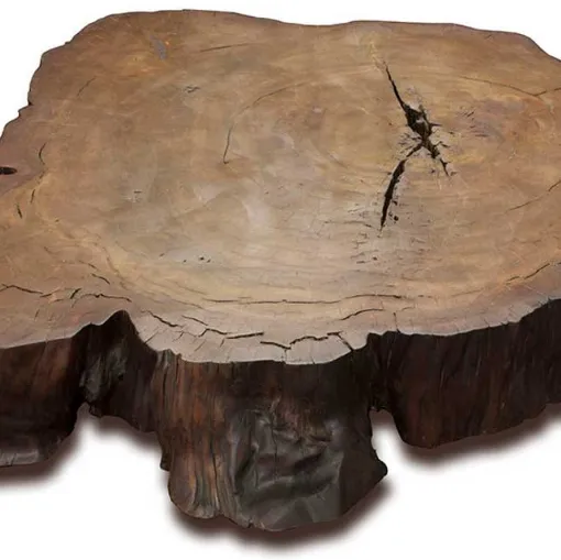 stump riva 1920 coffee table