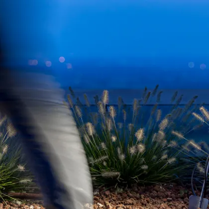 cricket lamp davide groppi