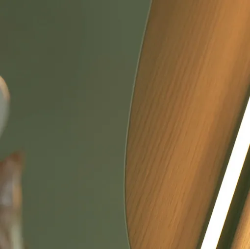 interior design tooy