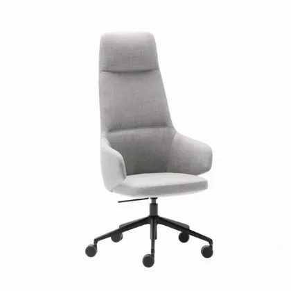 binar executive incl