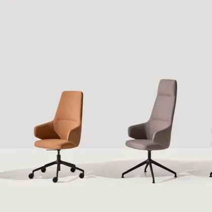 executive binar inclass poltorna verona