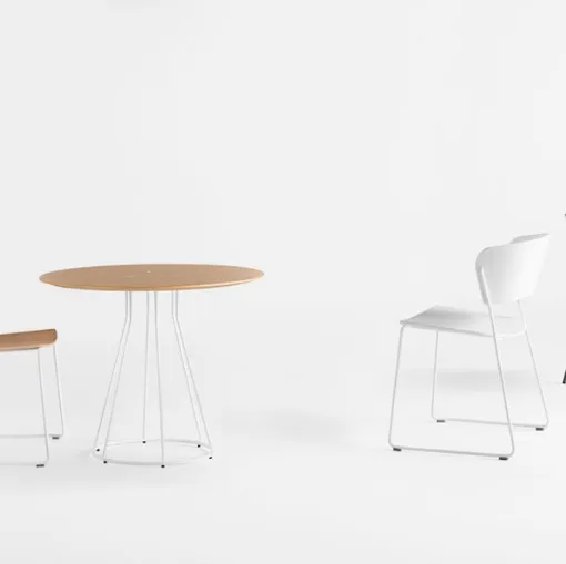 lacquered chair sled design incl