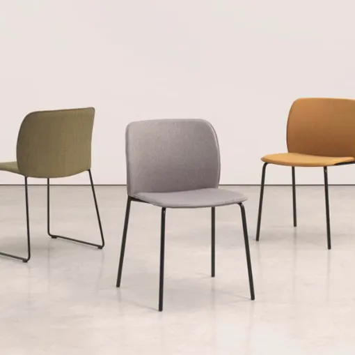 aryn max sled in verona