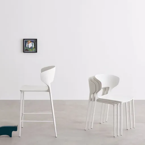 furniture chairs verona