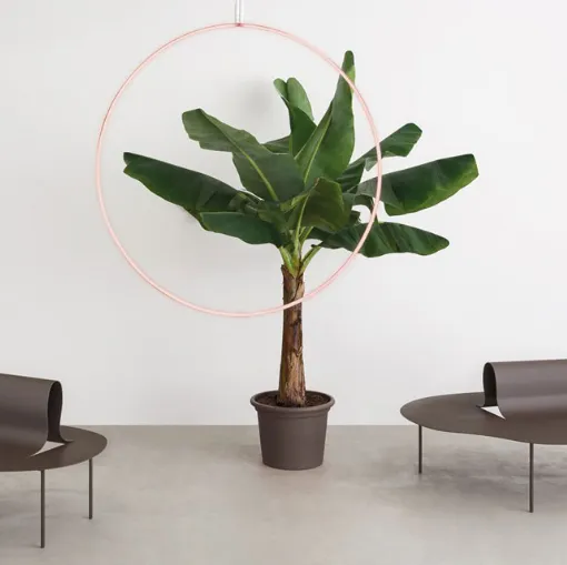 perbellini furniture