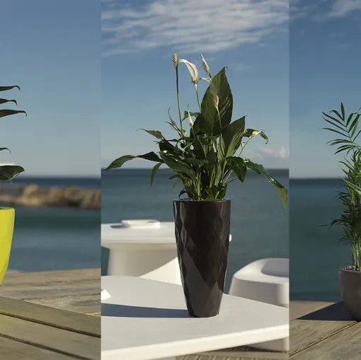 nano vertex vase