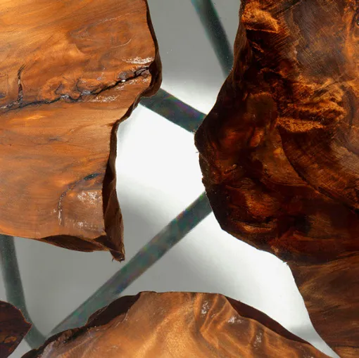 kauri earth riva1920